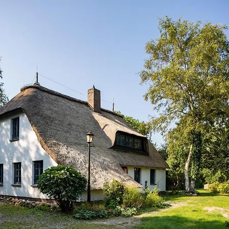 MeinNest31-2